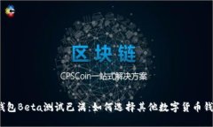 TP钱包Beta测试已满：如何选择其他数字货币钱包