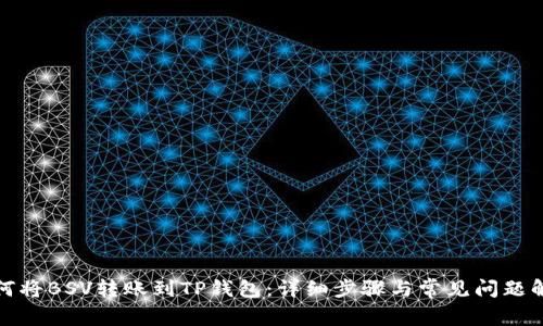 如何将BSV转账到TP钱包：详细步骤与常见问题解答